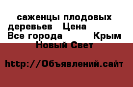 саженцы плодовых деревьев › Цена ­ 6 080 - Все города  »    . Крым,Новый Свет